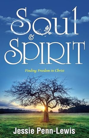 Bild des Verkufers fr Soul and Spirit: Finding Freedom in Christ zum Verkauf von moluna