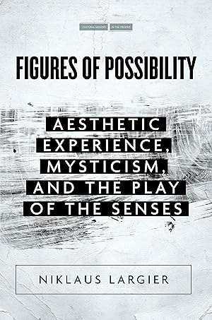 Bild des Verkufers fr Figures of Possibility: Aesthetic Experience, Mysticism, and the Play of the Senses zum Verkauf von moluna