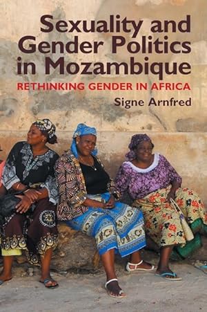 Bild des Verkufers fr Sexuality and Gender Politics in Mozambique zum Verkauf von moluna