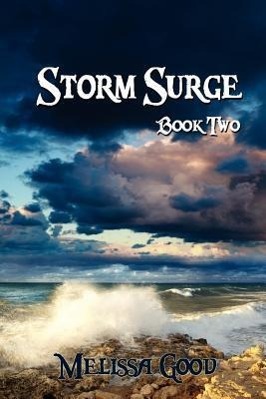 Bild des Verkufers fr Storm Surge - Book Two zum Verkauf von moluna