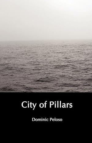 Immagine del venditore per City of Pillars venduto da moluna