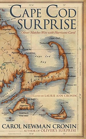 Seller image for Cape Cod Surprise for sale by moluna