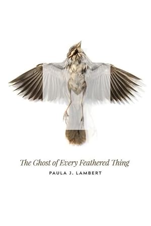 Bild des Verkufers fr The Ghost of Every Feathered Thing zum Verkauf von moluna