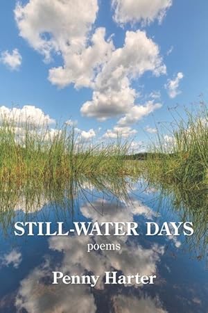 Immagine del venditore per Still-Water Days venduto da moluna