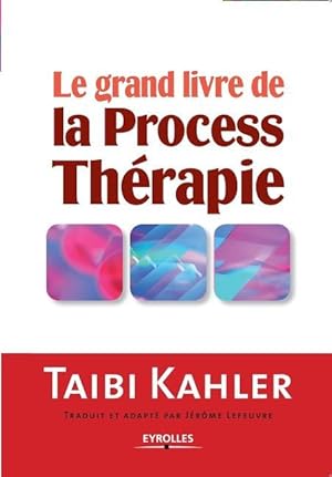 Image du vendeur pour Le grand livre de la process therapie mis en vente par moluna