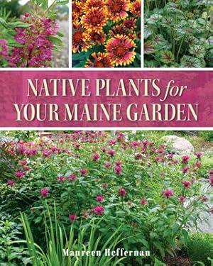 Bild des Verkufers fr Native Plants for Your Maine Garden zum Verkauf von moluna