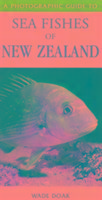 Seller image for Doak, W: Photographic Guide to Sea Fishes of New Zealand for sale by moluna