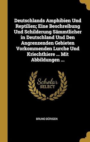 Bild des Verkufers fr Deutschlands Amphibien Und Reptilien Eine Beschreibung Und Schilderung Saemmtlicher in Deutschland Und Den Angrenzenden Gebieten Vorkommenden Lurche U zum Verkauf von moluna