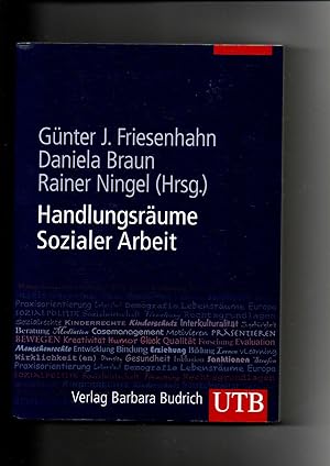 Seller image for Gnter J. Friesenhahn, Handlungsrume Sozialer Arbeit - Ein Lern- und Lesebuch for sale by sonntago DE