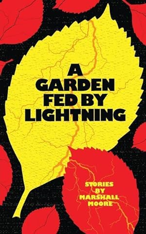 Bild des Verkufers fr A Garden Fed by Lightning zum Verkauf von moluna