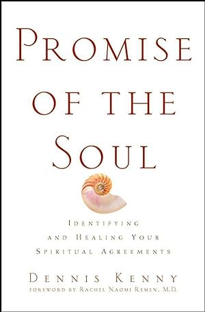 Bild des Verkufers fr Promise of the Soul: Identifying and Healing Your Spiritual Agreements zum Verkauf von moluna