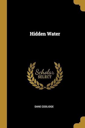 Seller image for HIDDEN WATER for sale by moluna