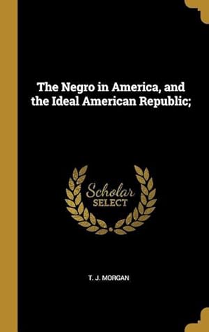 Bild des Verkufers fr The Negro in America, and the Ideal American Republic zum Verkauf von moluna