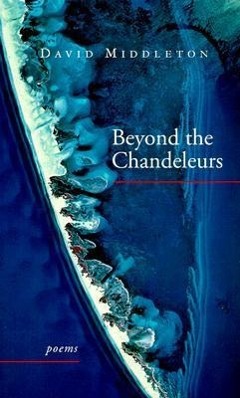 Immagine del venditore per Beyond the Chandeleurs venduto da moluna