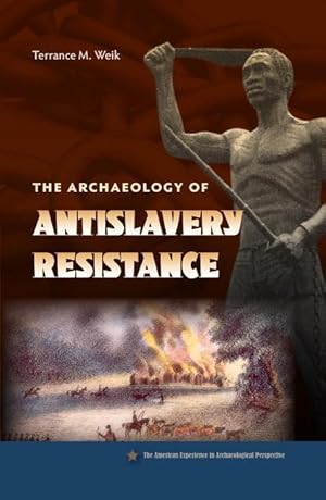 Immagine del venditore per Weik, T: The Archaeology of Antislavery Resistance venduto da moluna