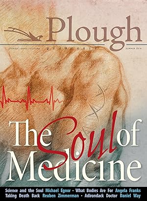 Bild des Verkufers fr Plough Quarterly No. 17- The Soul of Medicine zum Verkauf von moluna