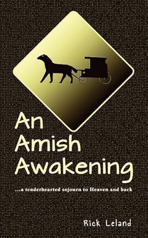 Bild des Verkufers fr An Amish Awakening: a tenderhearted sojourn to Heaven and back zum Verkauf von moluna