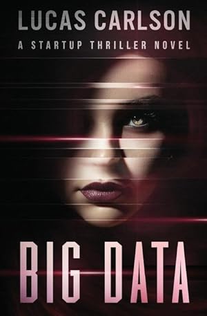 Bild des Verkufers fr Big Data: A Startup Thriller Novel zum Verkauf von moluna