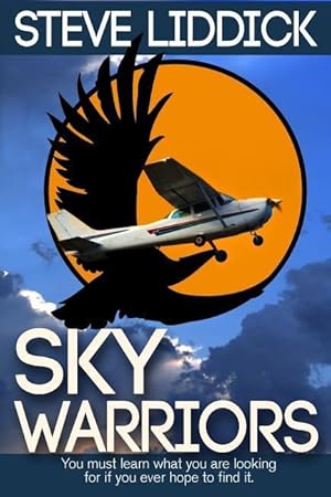 Bild des Verkufers fr Sky Warriors zum Verkauf von moluna