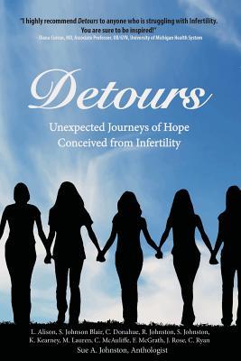 Seller image for Detours: Unexpected Journeys of Hope Conceived from Infertility for sale by moluna