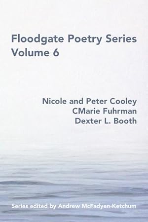 Seller image for Floodgate Series Volume 6 for sale by moluna