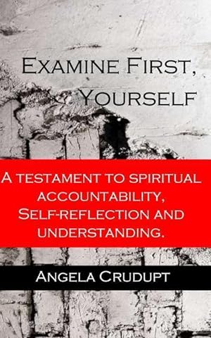Bild des Verkufers fr Examine First, Yourself: A Testament to Spiritual Accountability, Self-Reflection and Understanding zum Verkauf von moluna