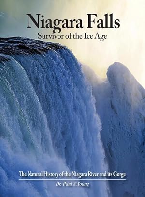 Bild des Verkufers fr Niagara Falls: Survivor of the Ice Age: The Natural History of the Niagara River and its Gorge zum Verkauf von moluna