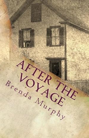Bild des Verkufers fr After the Voyage: An Irish American Story zum Verkauf von moluna