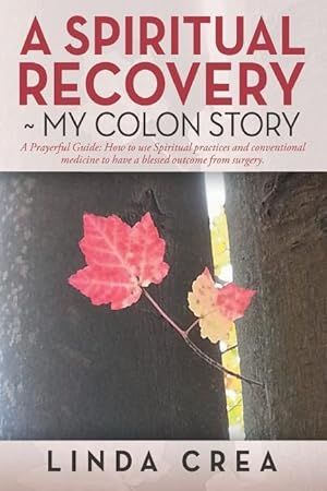 Bild des Verkufers fr A Spiritual Recovery my colon story: A prayerful Guide: How to use spiritual practices and conventional medicine to have a blessed outcome from surger zum Verkauf von moluna