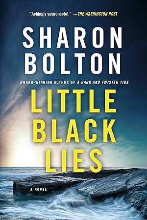 Image du vendeur pour Little Black Lies mis en vente par moluna