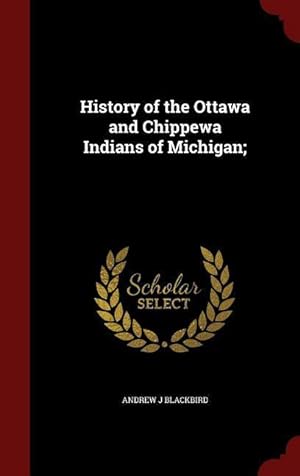 Bild des Verkufers fr History of the Ottawa and Chippewa Indians of Michigan zum Verkauf von moluna