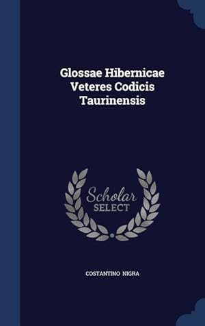 Bild des Verkufers fr Glossae Hibernicae Veteres Codicis Taurinensis zum Verkauf von moluna