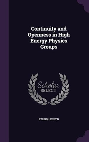 Bild des Verkufers fr Continuity and Openness in High Energy Physics Groups zum Verkauf von moluna