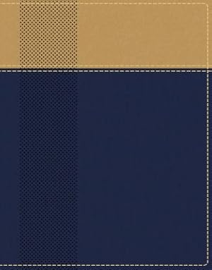 Seller image for Niv, Starting Place Study Bible, Leathersoft, Blue/Tan, Indexed, Comfort Print: An Introductory Exploration of Studying God's Word (Leather / Fine Binding) for sale by BargainBookStores