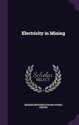 Bild des Verkufers fr Electricity in Mining zum Verkauf von moluna