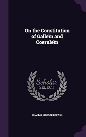 Bild des Verkufers fr On the Constitution of Gallen and Coerulen zum Verkauf von moluna