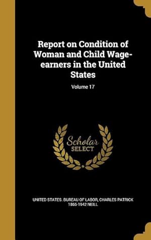 Bild des Verkufers fr Report on Condition of Woman and Child Wage-earners in the United States Volume 17 zum Verkauf von moluna