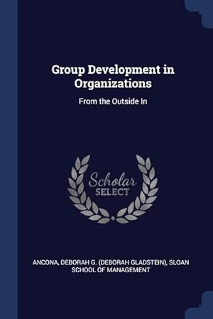 Bild des Verkufers fr Group Development in Organizations: From the Outside In zum Verkauf von moluna