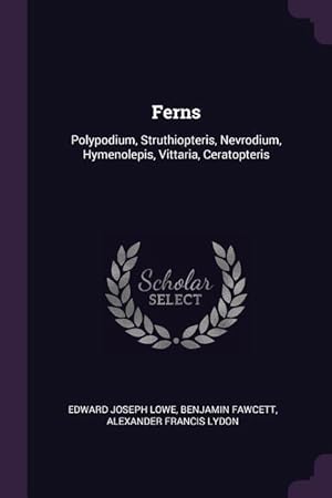 Bild des Verkufers fr Ferns: Polypodium, Struthiopteris, Nevrodium, Hymenolepis, Vittaria, Ceratopteris zum Verkauf von moluna