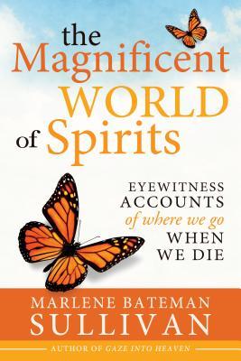 Bild des Verkufers fr The Magnificient World of Spirits: Eyewitness Accounts of Where We Go When We Die zum Verkauf von moluna