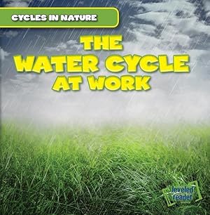 Bild des Verkufers fr CYCLES IN NATURE WATER CYCLE A zum Verkauf von moluna