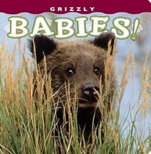 Bild des Verkufers fr Grizzly Babies! zum Verkauf von moluna
