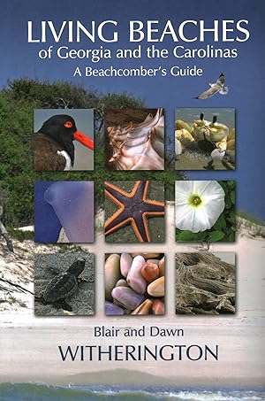 Bild des Verkufers fr Living Beaches of Georgia and the Carolinas: A Beachcomber\ s Guide zum Verkauf von moluna