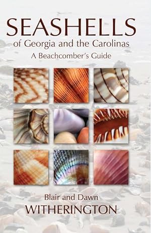 Bild des Verkufers fr Seashells of Georgia and the Carolinas: A Beachcomber\ s Guide zum Verkauf von moluna