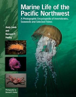 Bild des Verkufers fr Marine Life of the Pacific Northwest: A Photographic Encyclopedia of Invertebrates, Seaweeds and Selected Fishes zum Verkauf von moluna