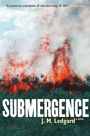 Bild des Verkufers fr Submergence zum Verkauf von moluna