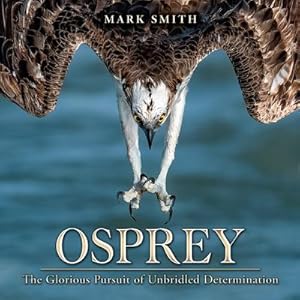 Bild des Verkufers fr Osprey: The Glorious Pursuit of Unbridled Determination zum Verkauf von moluna