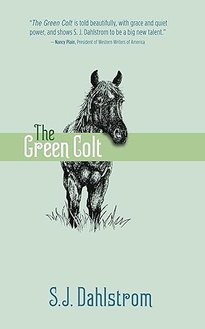 Bild des Verkufers fr The Green Colt: The Adventures of Wilder Good #4 zum Verkauf von moluna