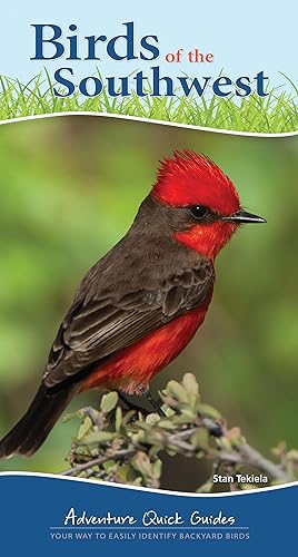 Bild des Verkufers fr Birds of the Southwest: Your Way to Easily Identify Backyard Birds zum Verkauf von moluna