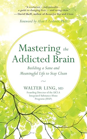 Bild des Verkufers fr Mastering the Addicted Brain: Building a Sane and Meaningful Life to Stay Clean zum Verkauf von moluna